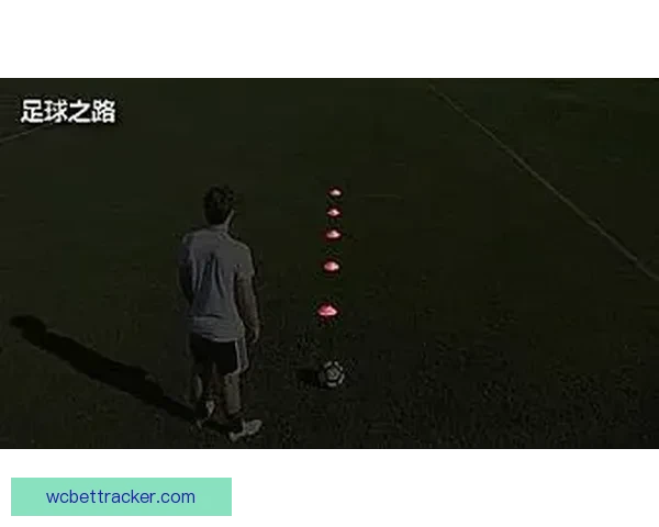 体育竞猜预测秘籍解析 精准分析技巧助你提升赢率